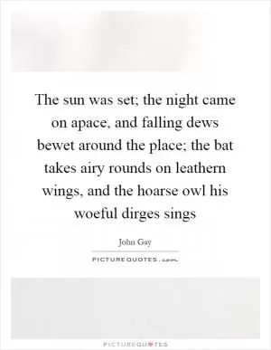 The sun was set; the night came on apace, and falling dews bewet around the place; the bat takes airy rounds on leathern wings, and the hoarse owl his woeful dirges sings Picture Quote #1