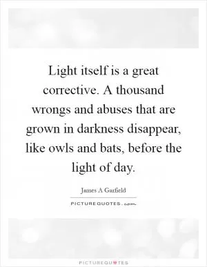 Light itself is a great corrective. A thousand wrongs and abuses that are grown in darkness disappear, like owls and bats, before the light of day Picture Quote #1