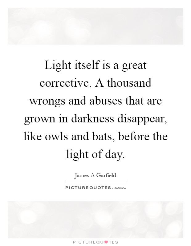 Light itself is a great corrective. A thousand wrongs and abuses that are grown in darkness disappear, like owls and bats, before the light of day Picture Quote #1