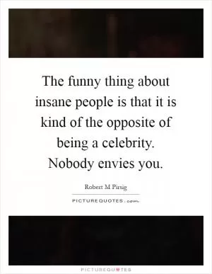 The funny thing about insane people is that it is kind of the opposite of being a celebrity. Nobody envies you Picture Quote #1