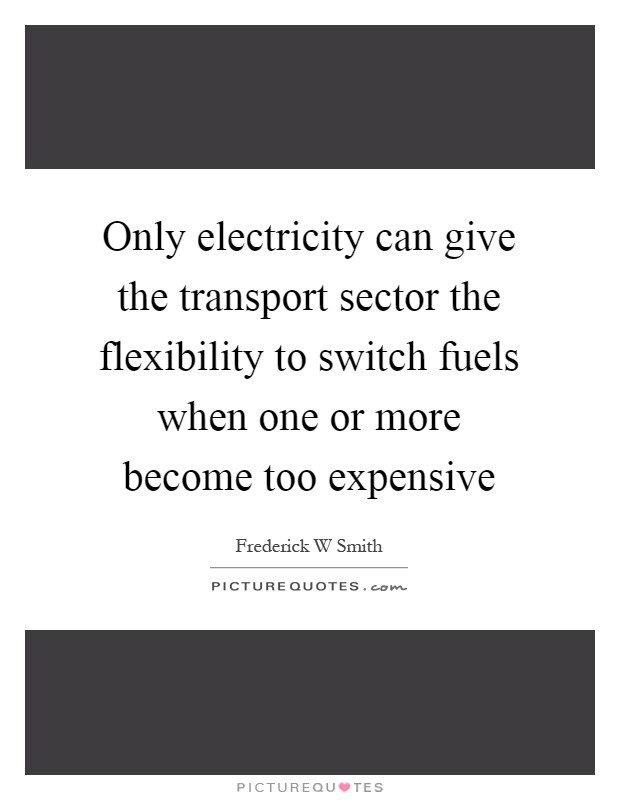 Only electricity can give the transport sector the flexibility to switch fuels when one or more become too expensive Picture Quote #1