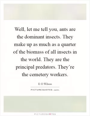 Well, let me tell you, ants are the dominant insects. They make up as much as a quarter of the biomass of all insects in the world. They are the principal predators. They’re the cemetery workers Picture Quote #1
