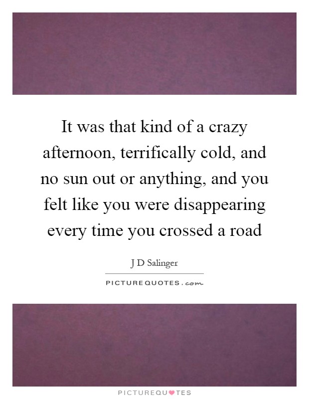 It was that kind of a crazy afternoon, terrifically cold, and no sun out or anything, and you felt like you were disappearing every time you crossed a road Picture Quote #1