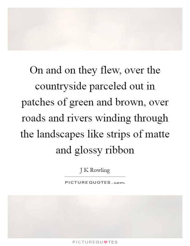 On and on they flew, over the countryside parceled out in patches of green and brown, over roads and rivers winding through the landscapes like strips of matte and glossy ribbon Picture Quote #1