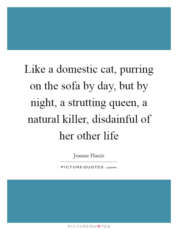 Like a domestic cat, purring on the sofa by day, but by night, a strutting queen, a natural killer, disdainful of her other life Picture Quote #1