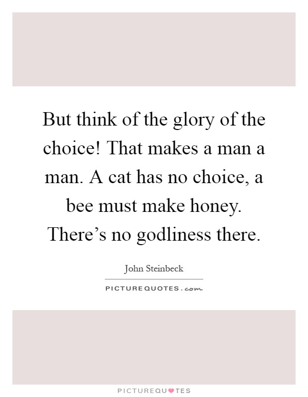 But think of the glory of the choice! That makes a man a man. A cat has no choice, a bee must make honey. There's no godliness there Picture Quote #1