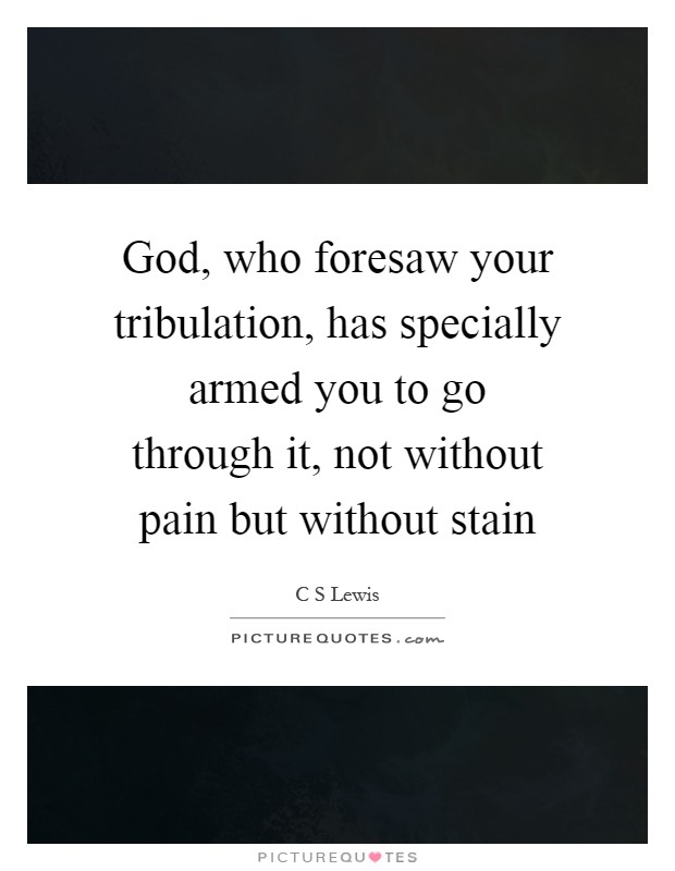 God, who foresaw your tribulation, has specially armed you to go through it, not without pain but without stain Picture Quote #1