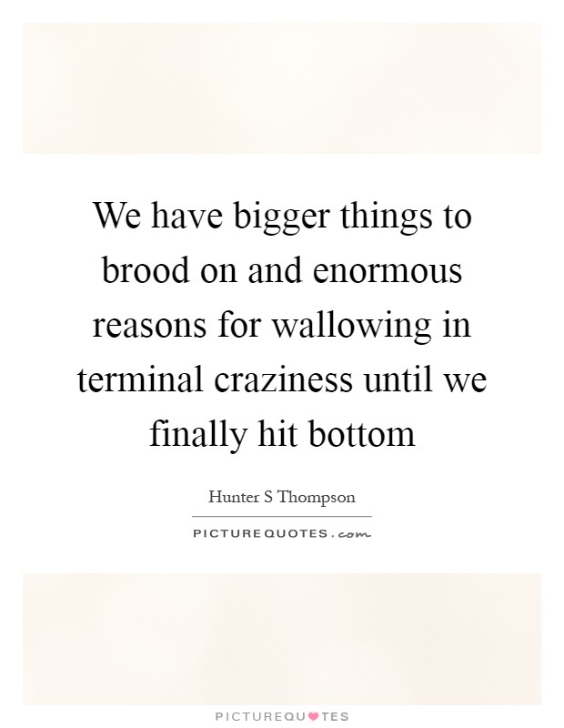 We have bigger things to brood on and enormous reasons for wallowing in terminal craziness until we finally hit bottom Picture Quote #1