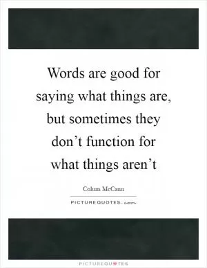 Words are good for saying what things are, but sometimes they don’t function for what things aren’t Picture Quote #1
