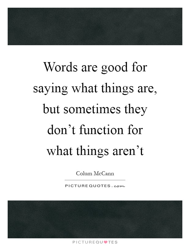 Words are good for saying what things are, but sometimes they don't function for what things aren't Picture Quote #1