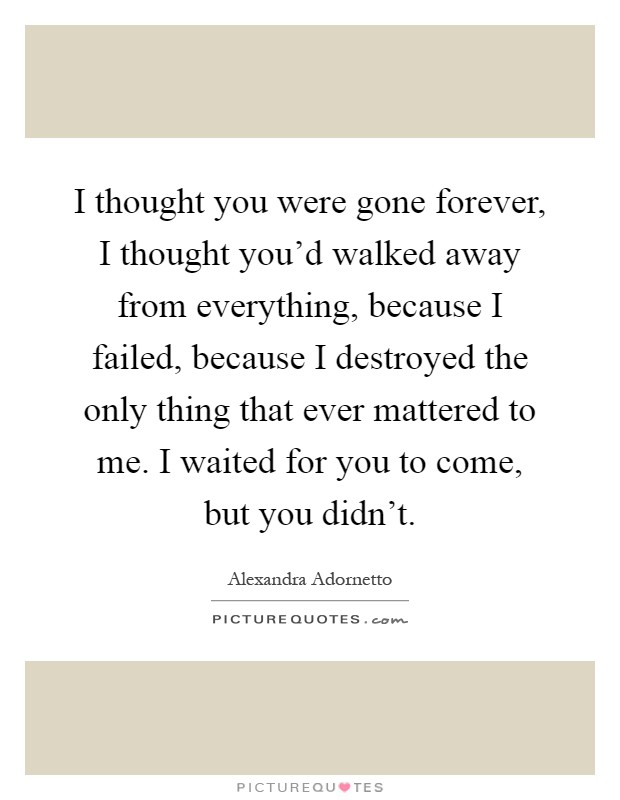 I thought you were gone forever, I thought you'd walked away from everything, because I failed, because I destroyed the only thing that ever mattered to me. I waited for you to come, but you didn't Picture Quote #1