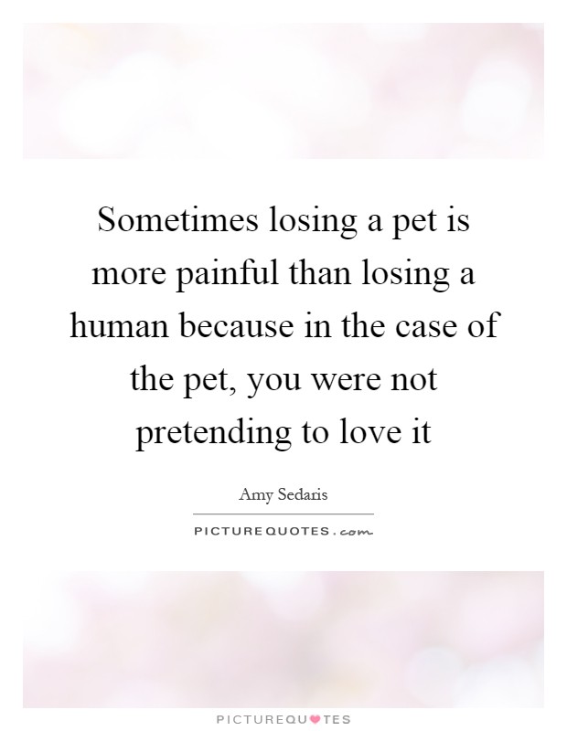 Sometimes losing a pet is more painful than losing a human because in the case of the pet, you were not pretending to love it Picture Quote #1
