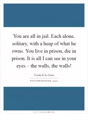 You are all in jail. Each alone, solitary, with a heap of what he owns. You live in prison, die in prison. It is all I can see in your eyes – the walls, the walls! Picture Quote #1