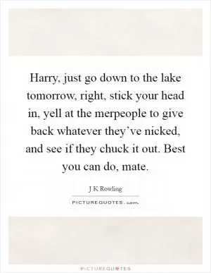Harry, just go down to the lake tomorrow, right, stick your head in, yell at the merpeople to give back whatever they’ve nicked, and see if they chuck it out. Best you can do, mate Picture Quote #1
