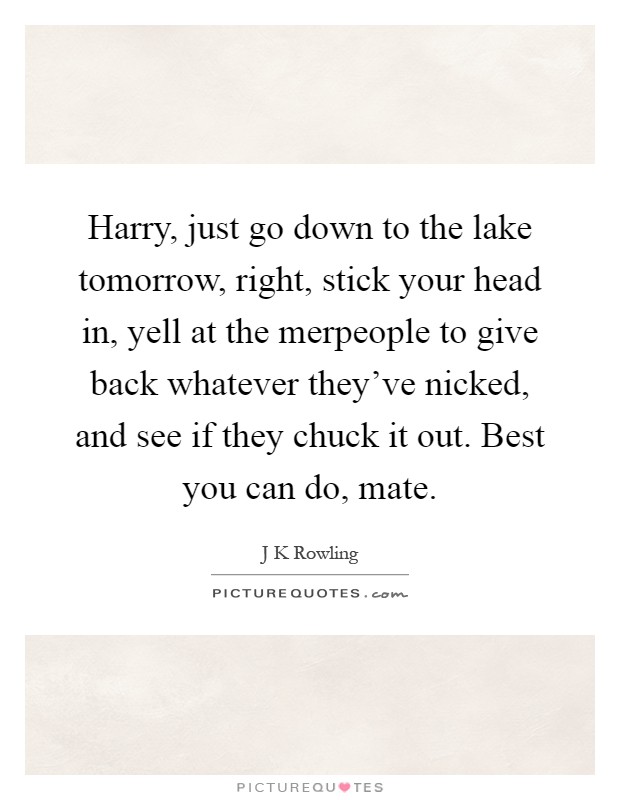 Harry, just go down to the lake tomorrow, right, stick your head in, yell at the merpeople to give back whatever they've nicked, and see if they chuck it out. Best you can do, mate Picture Quote #1