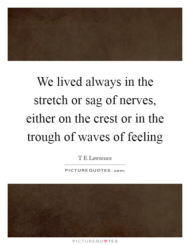 We lived always in the stretch or sag of nerves, either on the crest or in the trough of waves of feeling Picture Quote #1