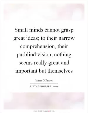 Small minds cannot grasp great ideas; to their narrow comprehension, their purblind vision, nothing seems really great and important but themselves Picture Quote #1