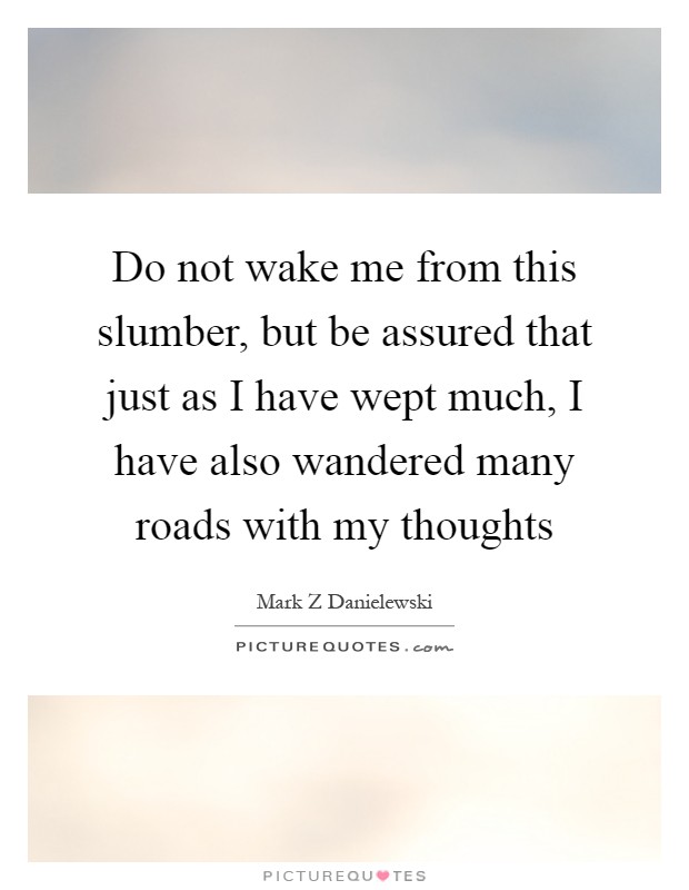 Do not wake me from this slumber, but be assured that just as I have wept much, I have also wandered many roads with my thoughts Picture Quote #1