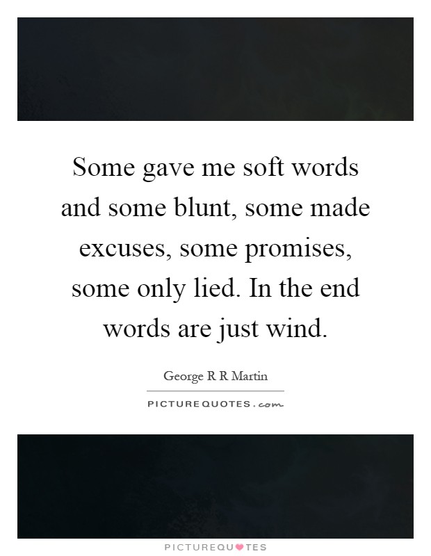 Some gave me soft words and some blunt, some made excuses, some promises, some only lied. In the end words are just wind Picture Quote #1