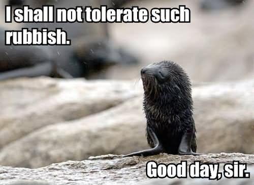 I shall not tolerate such rubbish. Good day, sir Picture Quote #1