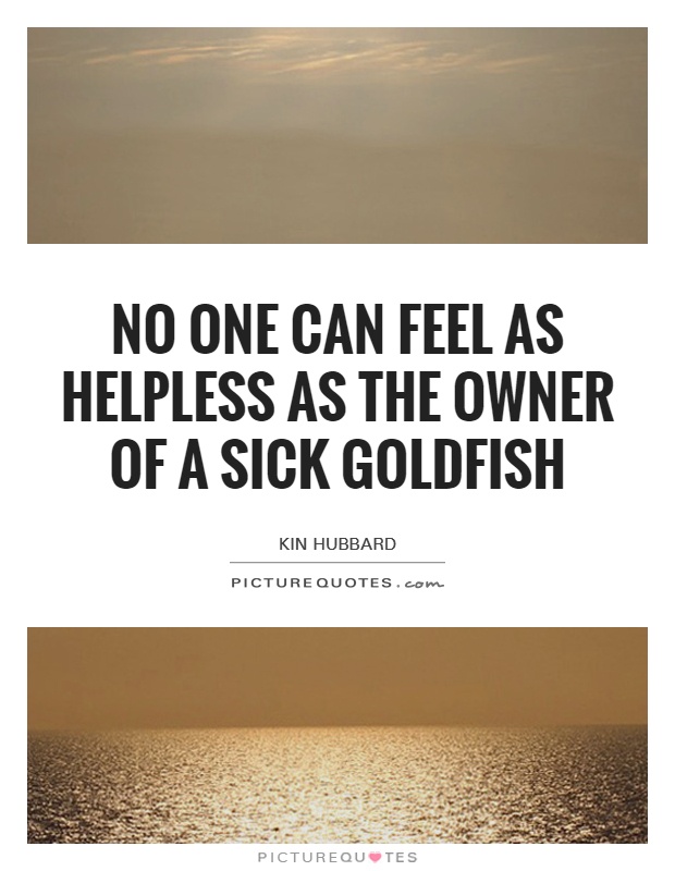 No one can feel as helpless as the owner of a sick goldfish Picture Quote #1