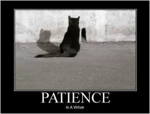 Patience is a virtue Picture Quote #1
