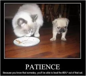 Patience. Because you know that someday, you'll beat the #$%! out of that cat Picture Quote #1