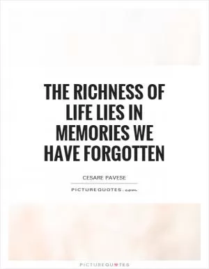 The richness of life lies in memories we have forgotten Picture Quote #1