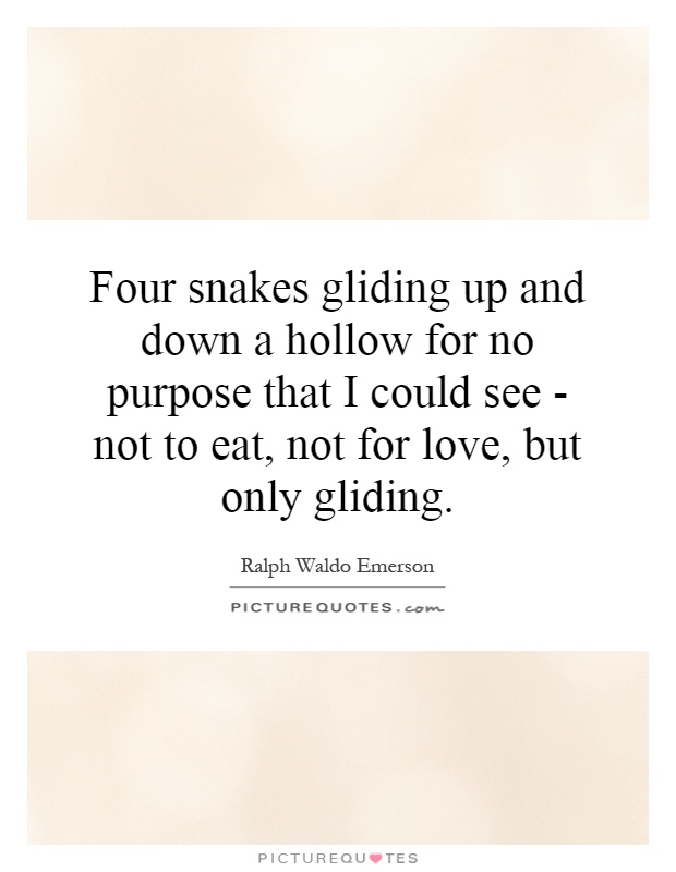 Four snakes gliding up and down a hollow for no purpose that I could see - not to eat, not for love, but only gliding Picture Quote #1