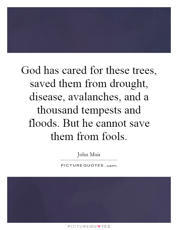 God has cared for these trees, saved them from drought, disease, avalanches, and a thousand tempests and floods. But he cannot save them from fools Picture Quote #1