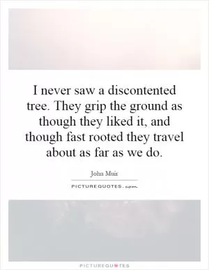 I never saw a discontented tree. They grip the ground as though they liked it, and though fast rooted they travel about as far as we do Picture Quote #1