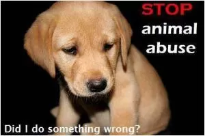Stop animal abuse. Did I do something wrong Picture Quote #1