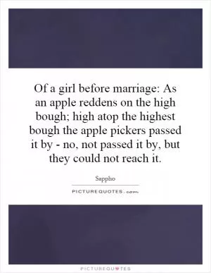 Of a girl before marriage: As an apple reddens on the high bough; high atop the highest bough the apple pickers passed it by - no, not passed it by, but they could not reach it Picture Quote #1