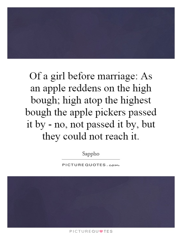 Of a girl before marriage: As an apple reddens on the high bough; high atop the highest bough the apple pickers passed it by - no, not passed it by, but they could not reach it Picture Quote #1