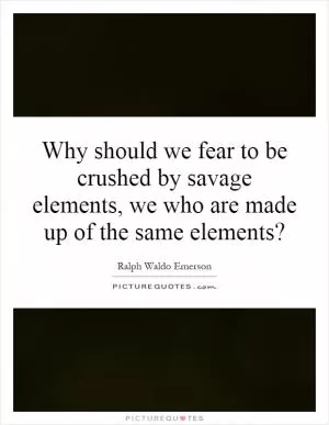 Why should we fear to be crushed by savage elements, we who are made up of the same elements? Picture Quote #1