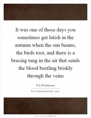 It was one of those days you sometimes get latish in the autumn when the sun beams, the birds toot, and there is a bracing tang in the air that sends the blood beetling briskly through the veins Picture Quote #1