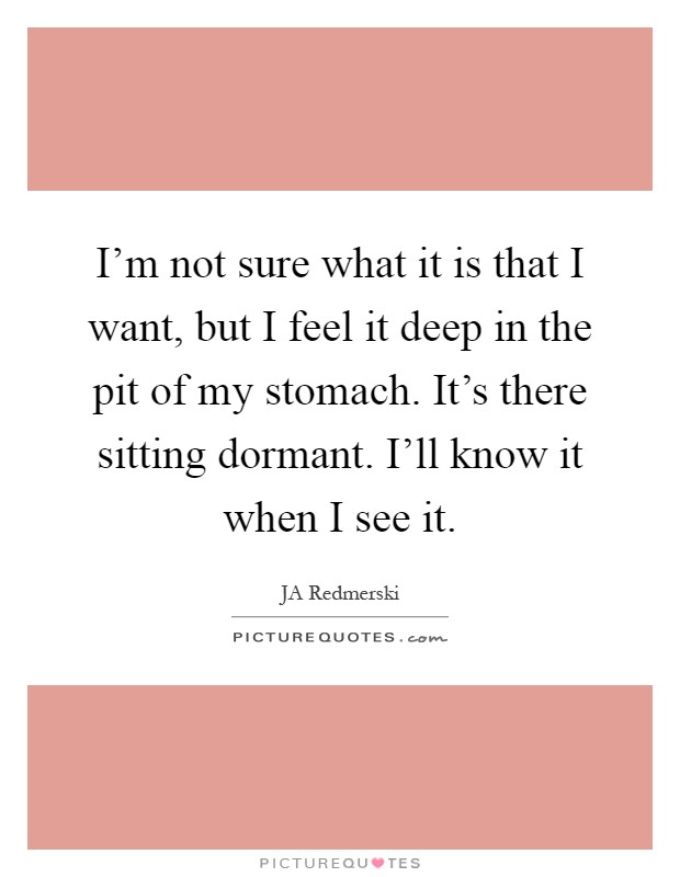 I'm not sure what it is that I want, but I feel it deep in the pit of my stomach. It's there sitting dormant. I'll know it when I see it Picture Quote #1