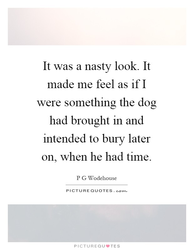 It was a nasty look. It made me feel as if I were something the dog had brought in and intended to bury later on, when he had time Picture Quote #1