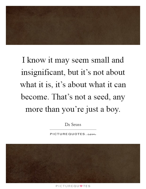 I know it may seem small and insignificant, but it's not about what it is, it's about what it can become. That's not a seed, any more than you're just a boy Picture Quote #1