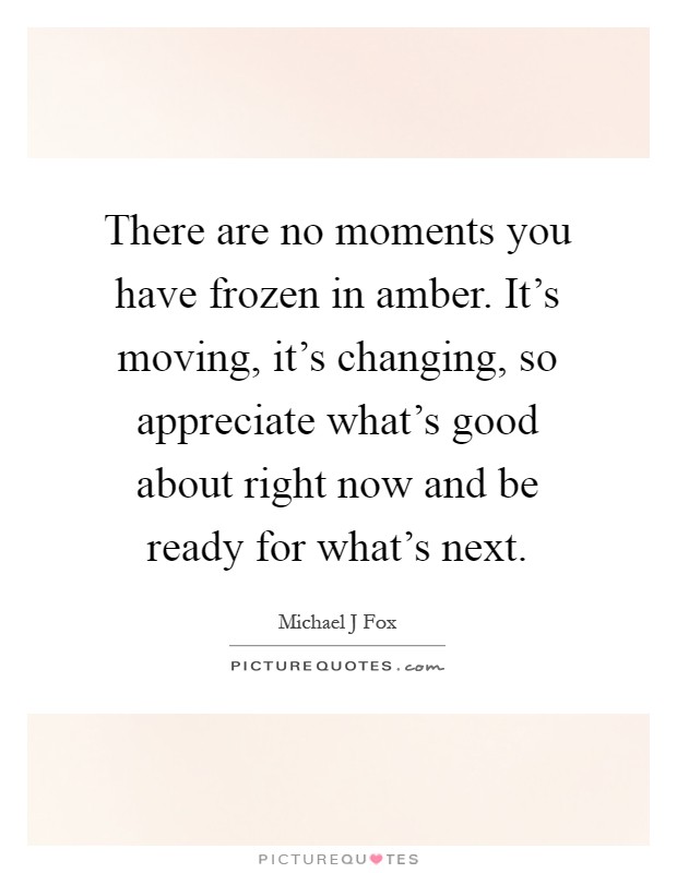 There are no moments you have frozen in amber. It's moving, it's changing, so appreciate what's good about right now and be ready for what's next Picture Quote #1