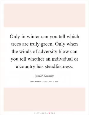 Only in winter can you tell which trees are truly green. Only when the winds of adversity blow can you tell whether an individual or a country has steadfastness Picture Quote #1