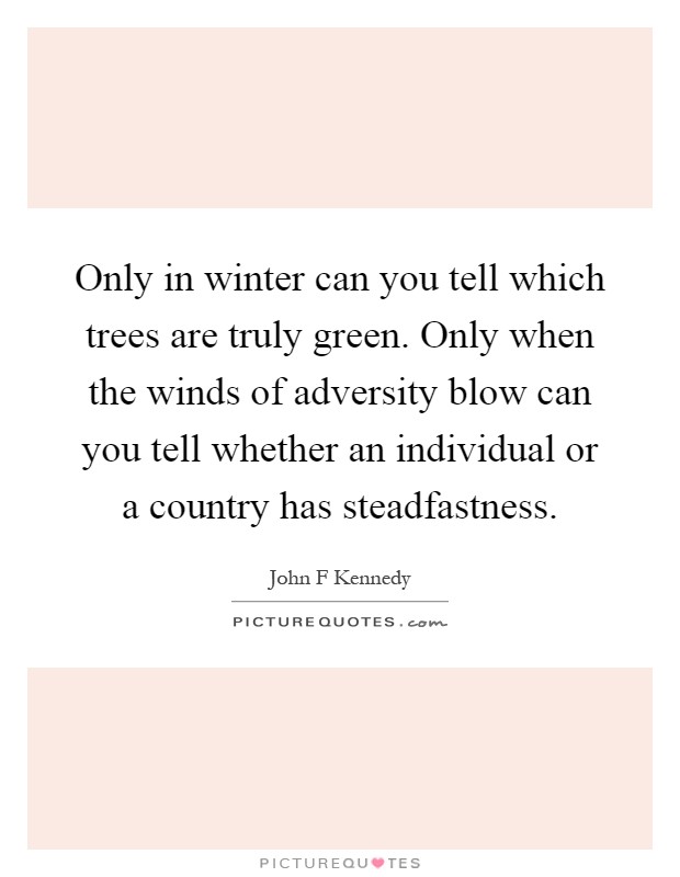 Only in winter can you tell which trees are truly green. Only when the winds of adversity blow can you tell whether an individual or a country has steadfastness Picture Quote #1