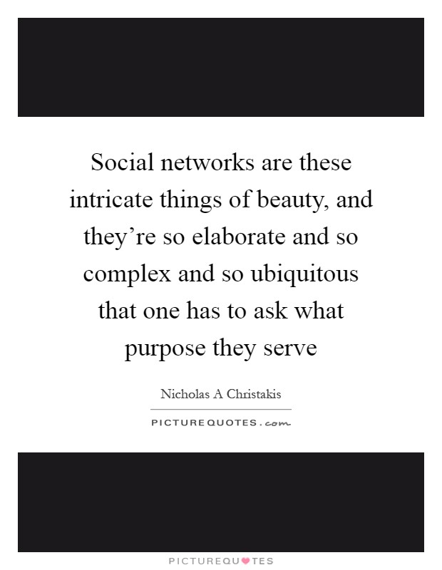 Social networks are these intricate things of beauty, and they're so elaborate and so complex and so ubiquitous that one has to ask what purpose they serve Picture Quote #1