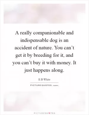 A really companionable and indispensable dog is an accident of nature. You can’t get it by breeding for it, and you can’t buy it with money. It just happens along Picture Quote #1