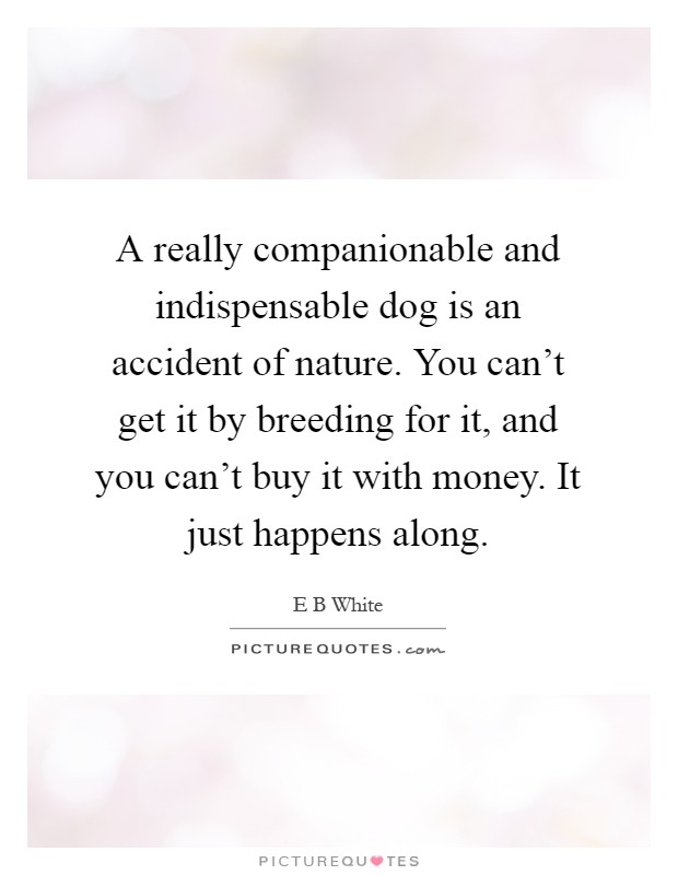 A really companionable and indispensable dog is an accident of nature. You can't get it by breeding for it, and you can't buy it with money. It just happens along Picture Quote #1