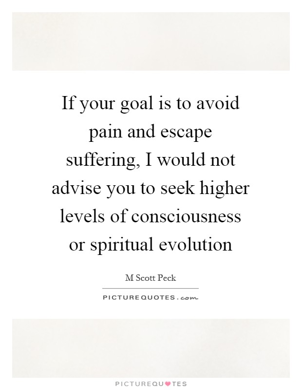 If your goal is to avoid pain and escape suffering, I would not advise you to seek higher levels of consciousness or spiritual evolution Picture Quote #1