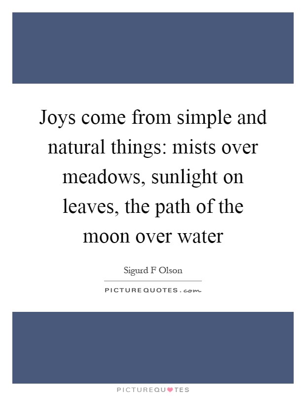 Joys come from simple and natural things: mists over meadows, sunlight on leaves, the path of the moon over water Picture Quote #1
