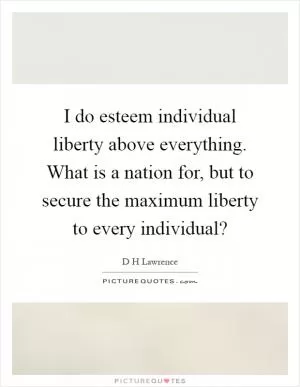 I do esteem individual liberty above everything. What is a nation for, but to secure the maximum liberty to every individual? Picture Quote #1