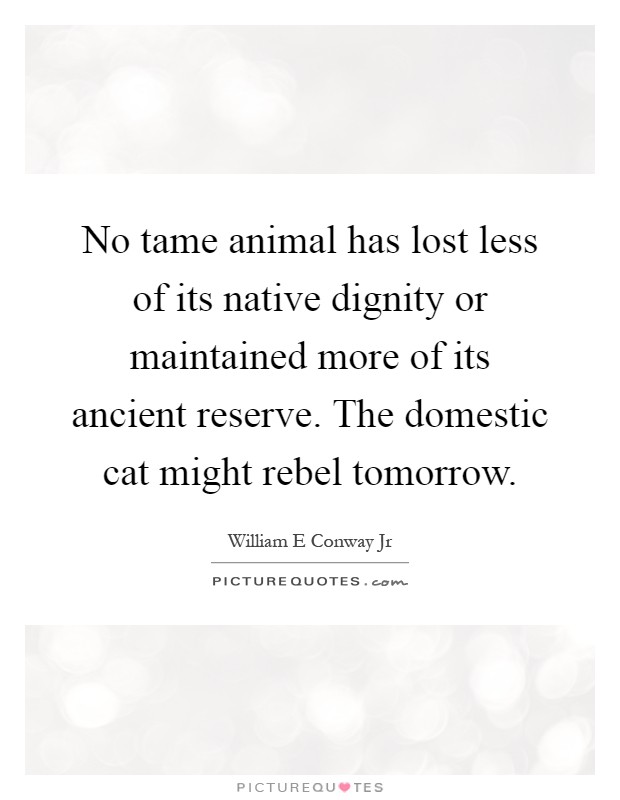 No tame animal has lost less of its native dignity or maintained more of its ancient reserve. The domestic cat might rebel tomorrow Picture Quote #1