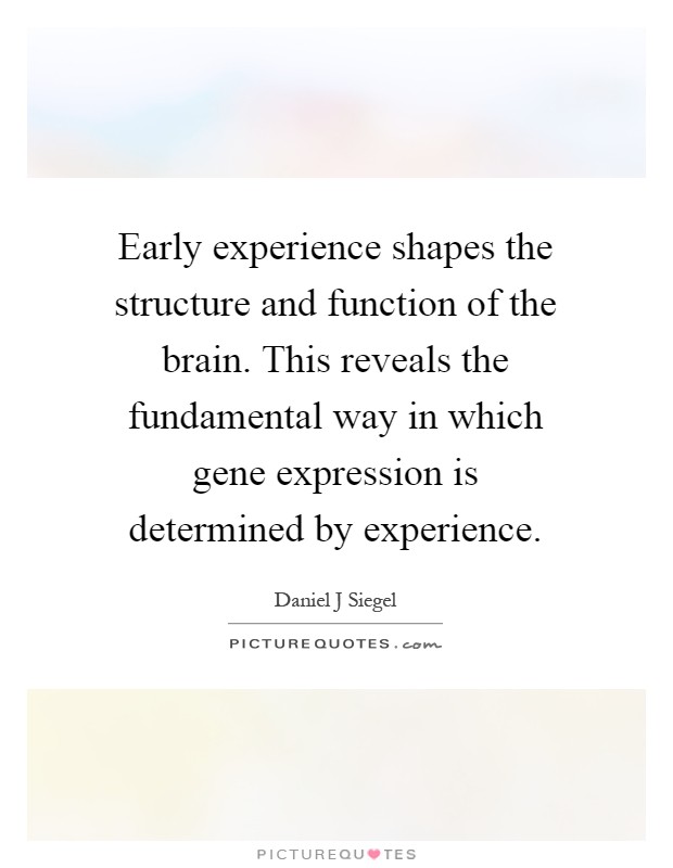 Early experience shapes the structure and function of the brain. This reveals the fundamental way in which gene expression is determined by experience Picture Quote #1
